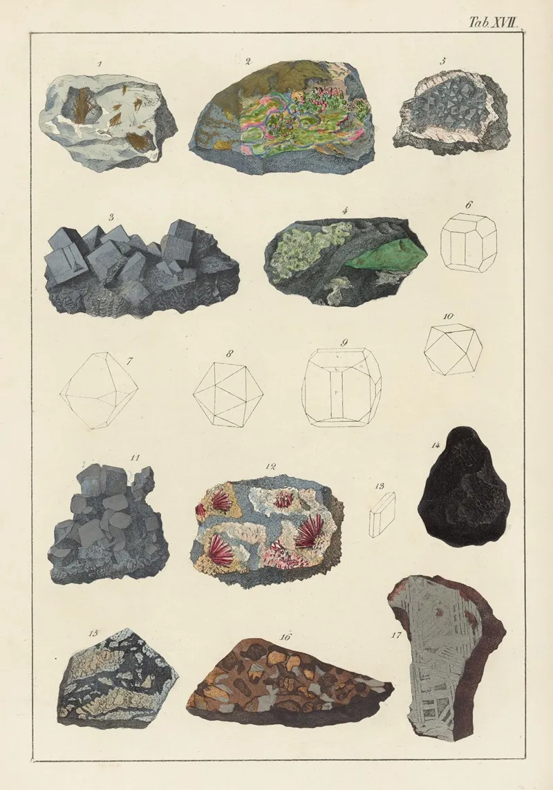 Plate Xvii Nickel Cobalt Iron Wall Art by Johann Gottlob Kurr - High-Resolution Digital Print