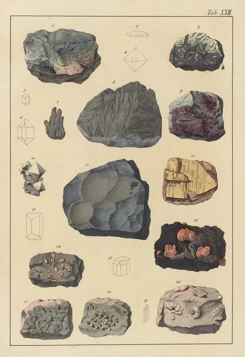 Plate Xxii Molybdenum Ores Chrome Ores Antimony Ores Arsenic Ores Wall Art by Johann Gottlob Kurr - High-Resolution Digital Print
