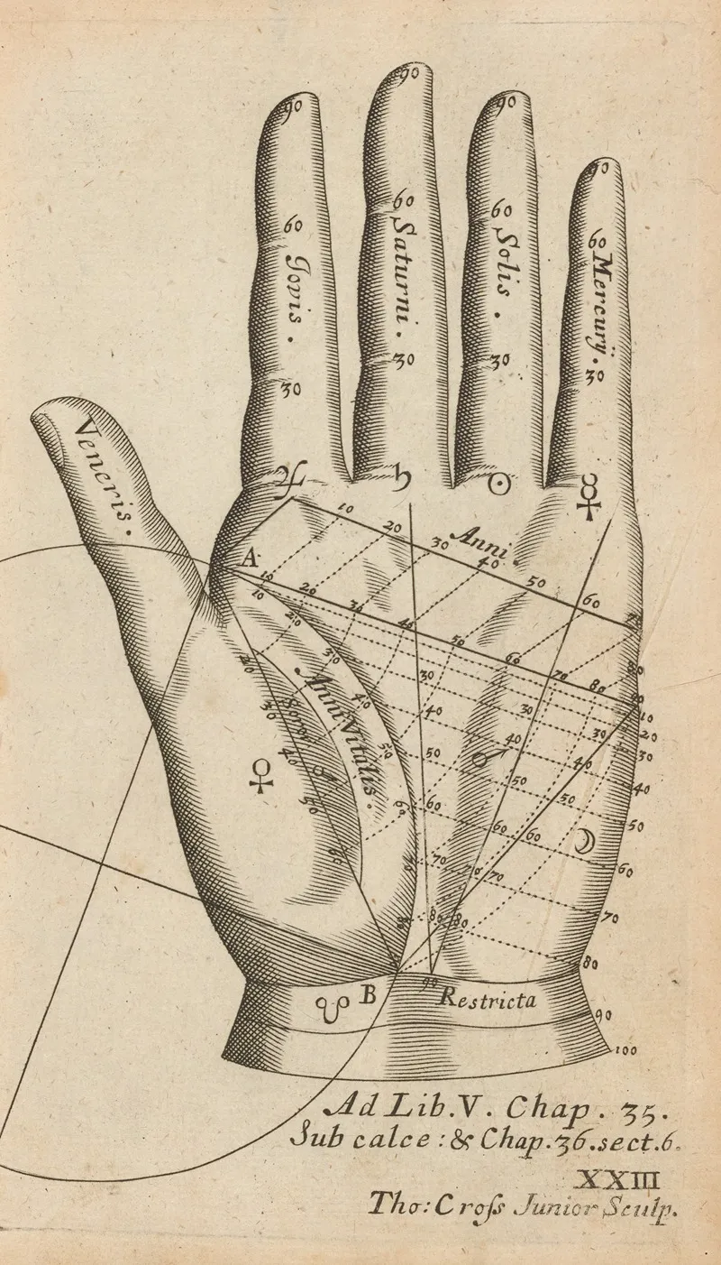 Plate Xxiii Palmistry Chart Of Left Hand Wall Art by William Salmon - High-Resolution Digital Print