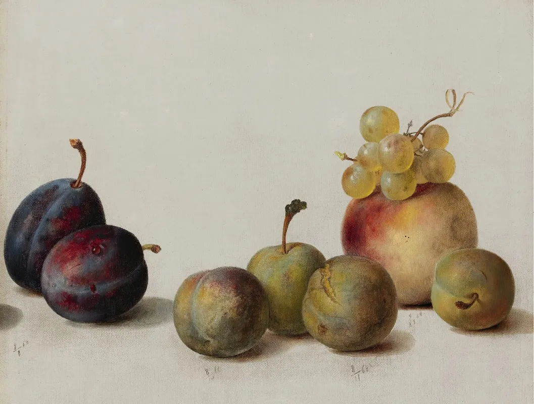 Plums Peach And Grapes Wall Art by Helen Searle - High-Resolution Digital Print