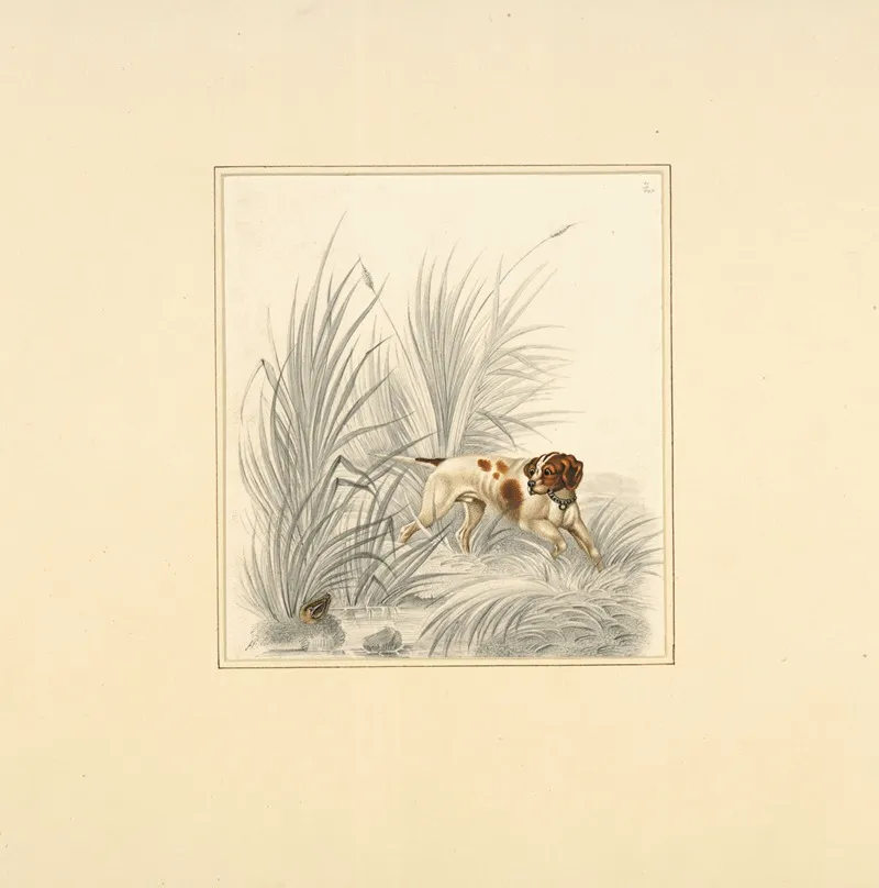 Pointer Looking At Gamebird