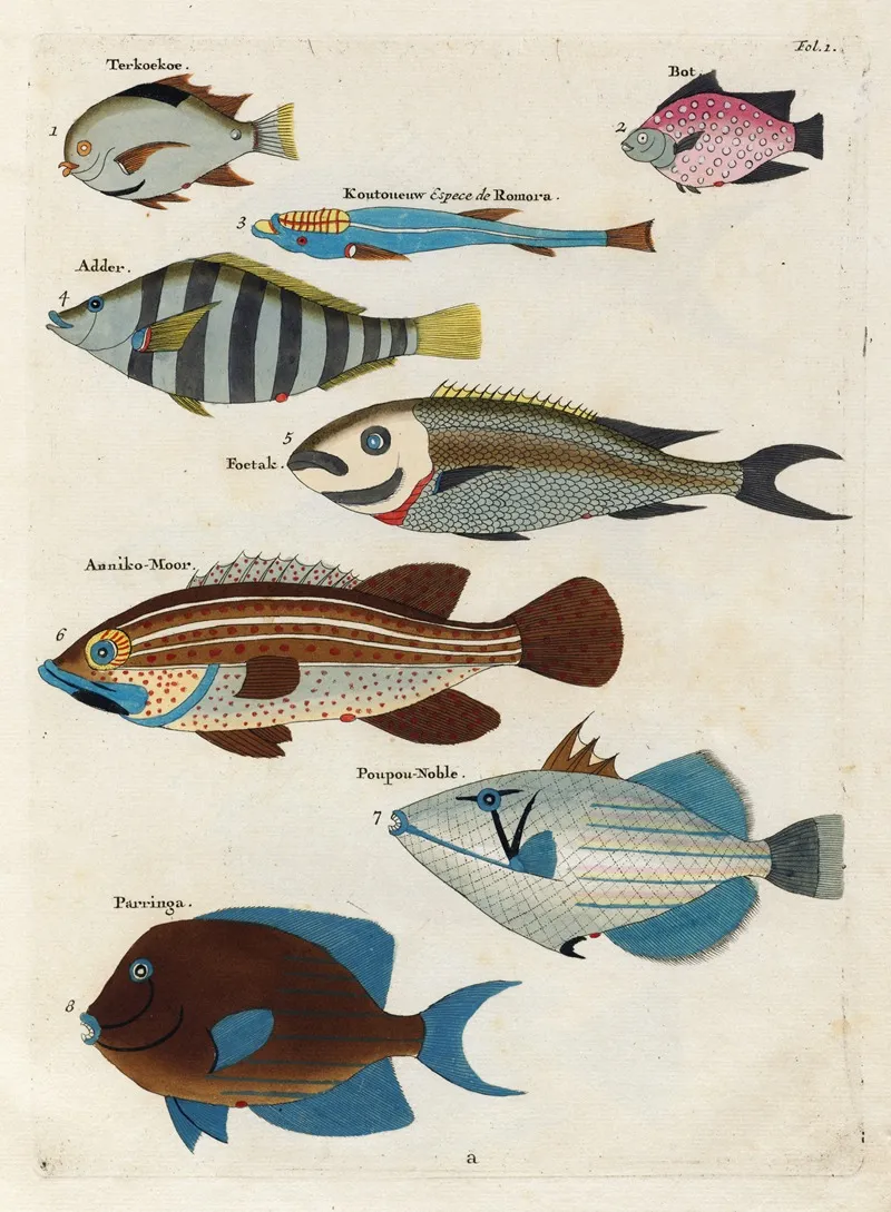 Poissons Ecrevisses Et Crabes De Diverses Couleurs Et Figures Extraordinaires Pl 001 Wall Art by Louis Renard - High-Resolution Digital Print