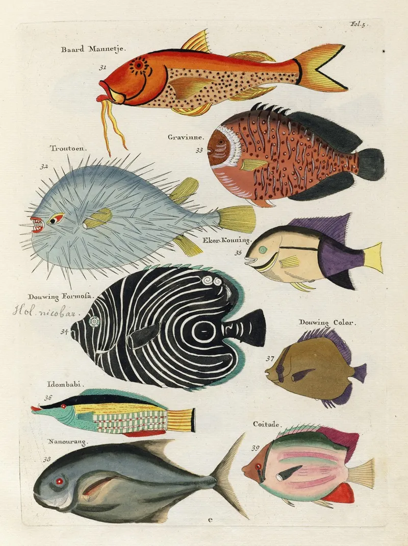 Poissons Ecrevisses Et Crabes De Diverses Couleurs Et Figures Extraordinaires Pl 005 Wall Art by Louis Renard - High-Resolution Digital Print