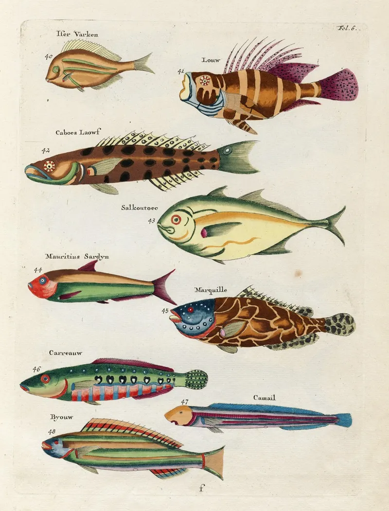 Poissons Ecrevisses Et Crabes De Diverses Couleurs Et Figures Extraordinaires Pl 006 Wall Art by Louis Renard - High-Resolution Digital Print