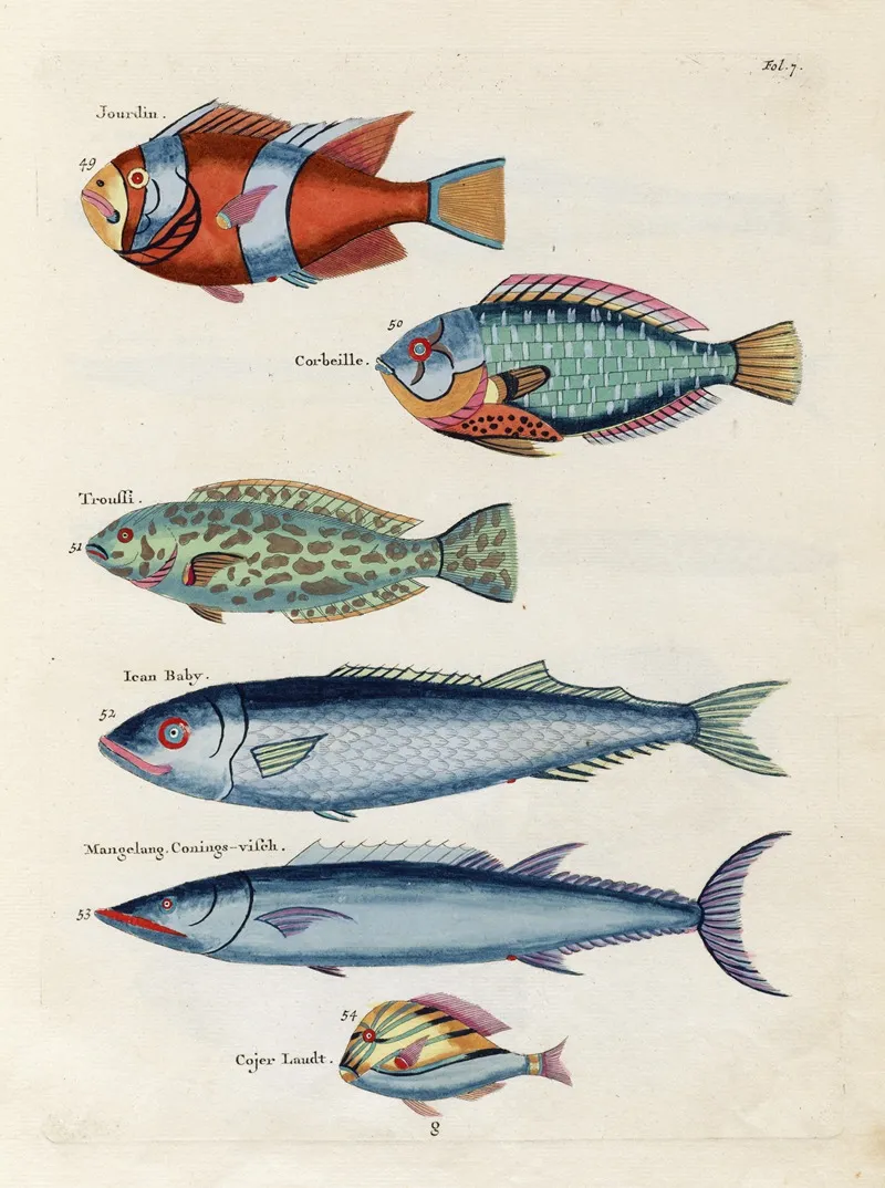 Poissons Ecrevisses Et Crabes De Diverses Couleurs Et Figures Extraordinaires Pl 007 Wall Art by Louis Renard - High-Resolution Digital Print