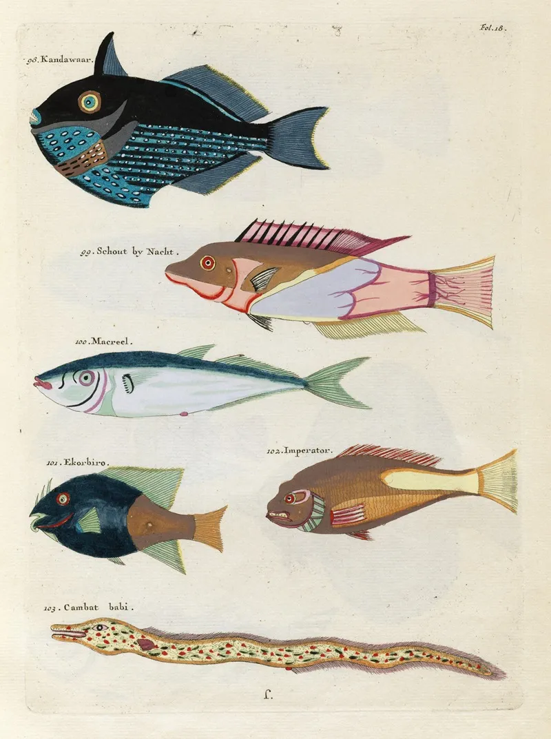 Poissons Ecrevisses Et Crabes De Diverses Couleurs Et Figures Extraordinaires Pl 018 Wall Art by Louis Renard - High-Resolution Digital Print