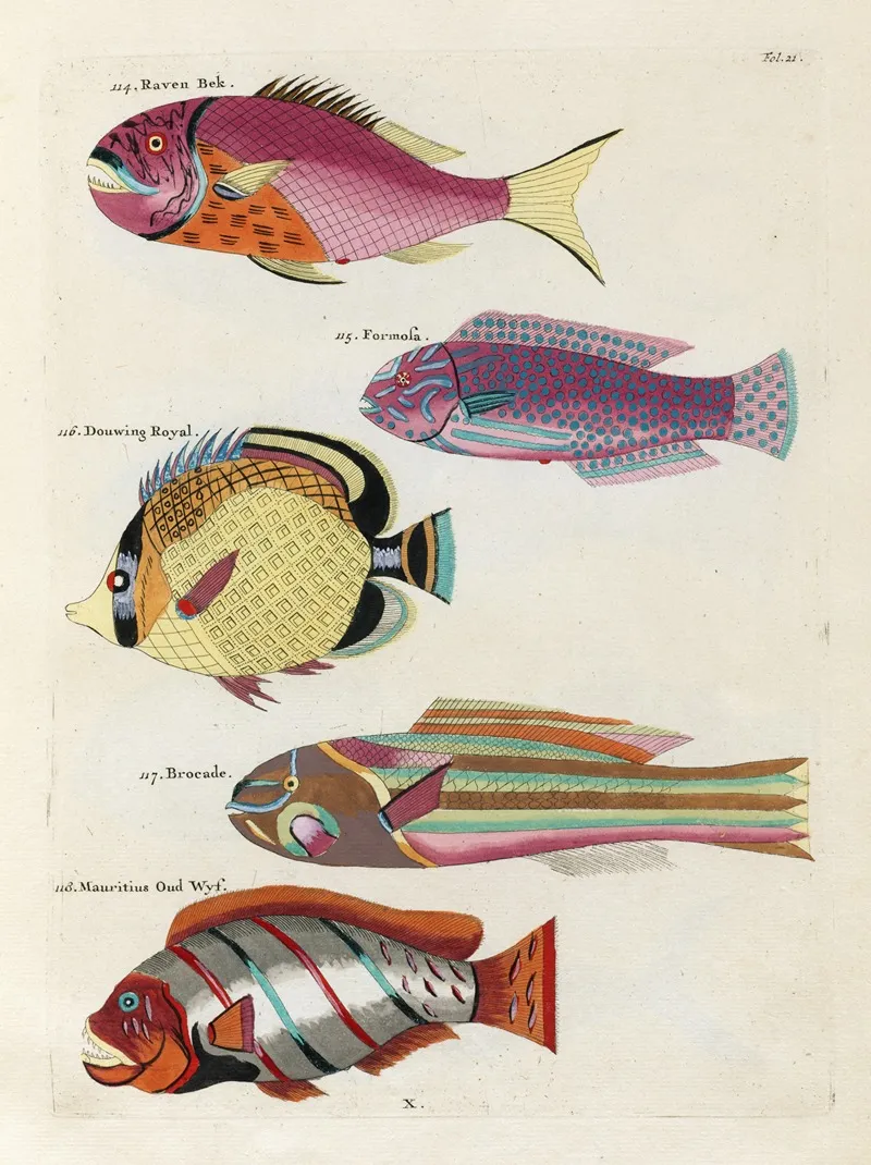 Poissons Ecrevisses Et Crabes De Diverses Couleurs Et Figures Extraordinaires Pl 021 Wall Art by Louis Renard - High-Resolution Digital Print