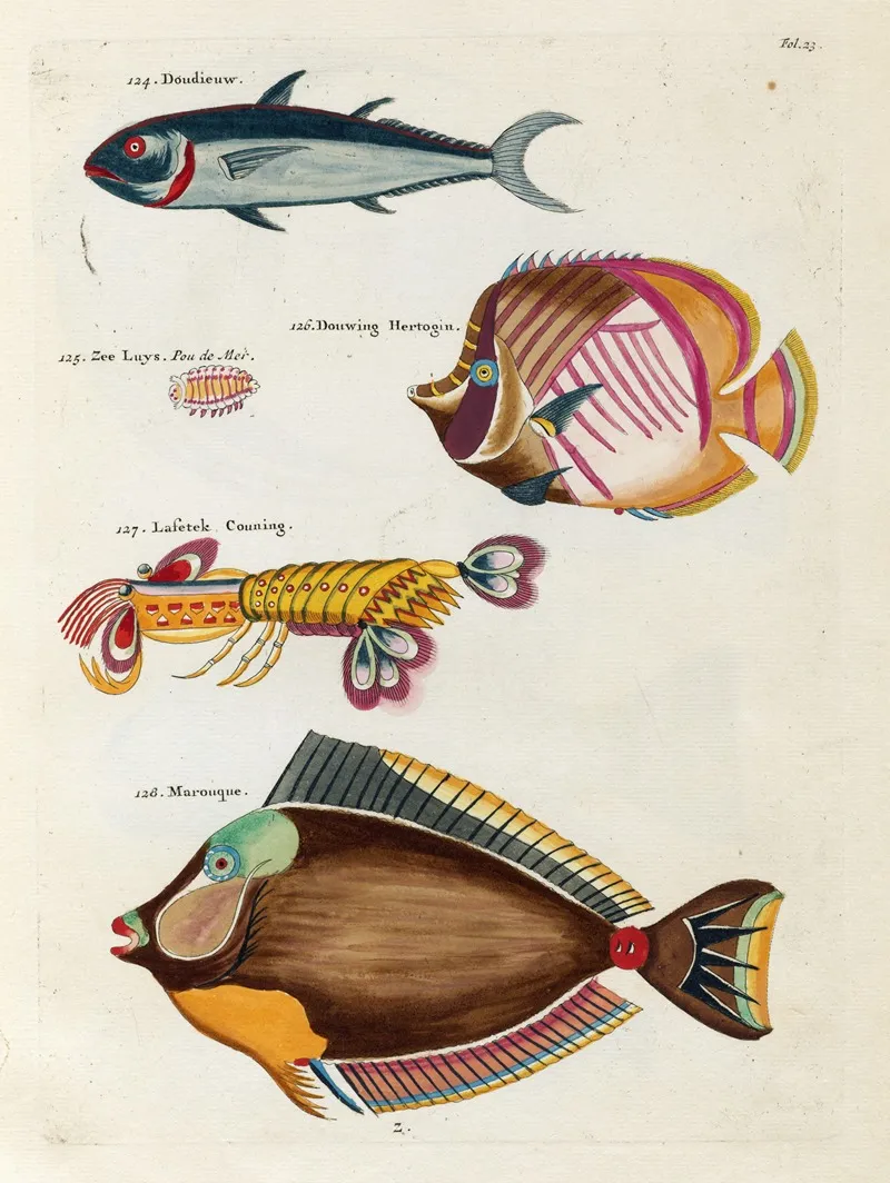 Poissons Ecrevisses Et Crabes De Diverses Couleurs Et Figures Extraordinaires Pl 023 Wall Art by Louis Renard - High-Resolution Digital Print