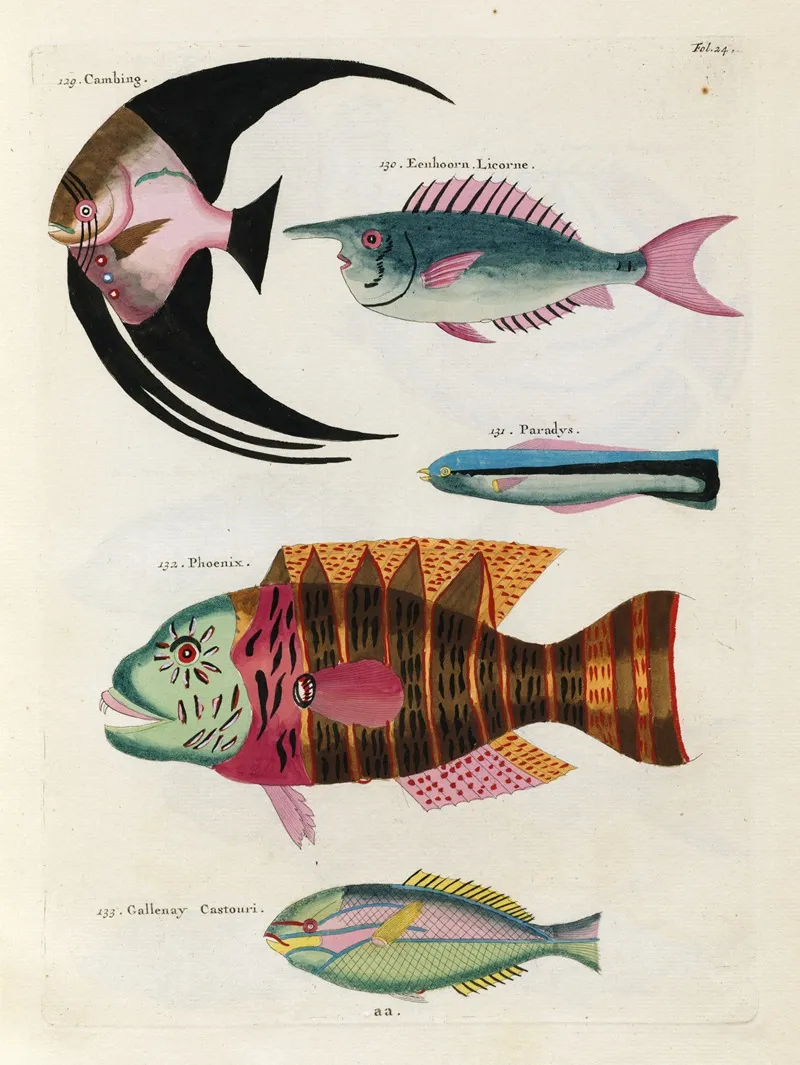Poissons Ecrevisses Et Crabes De Diverses Couleurs Et Figures Extraordinaires Pl 024 Wall Art by Louis Renard - High-Resolution Digital Print