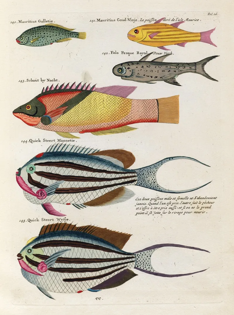 Poissons Ecrevisses Et Crabes De Diverses Couleurs Et Figures Extraordinaires Pl 026 Wall Art by Louis Renard - High-Resolution Digital Print