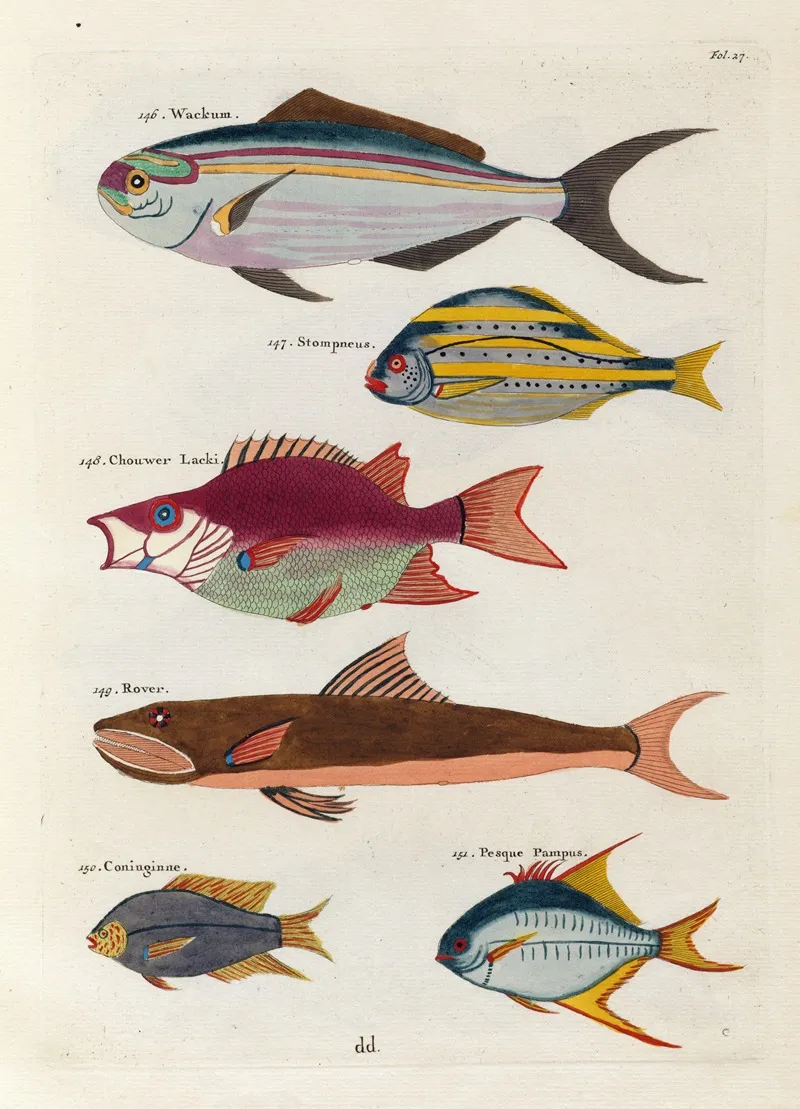 Poissons Ecrevisses Et Crabes De Diverses Couleurs Et Figures Extraordinaires Pl 027 Wall Art by Louis Renard - High-Resolution Digital Print
