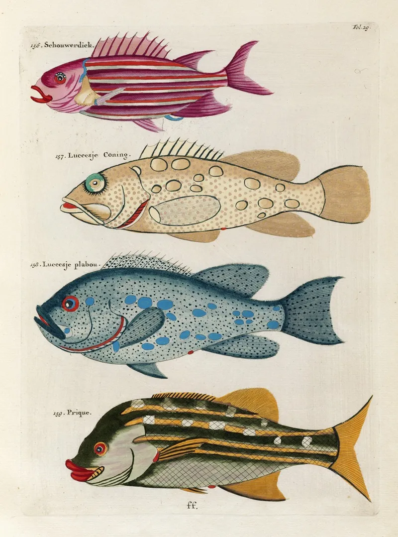 Poissons Ecrevisses Et Crabes De Diverses Couleurs Et Figures Extraordinaires Pl 029 Wall Art by Louis Renard - High-Resolution Digital Print