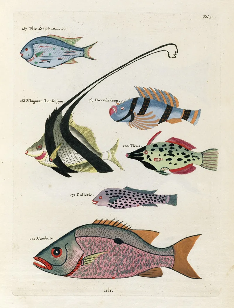 Poissons Ecrevisses Et Crabes De Diverses Couleurs Et Figures Extraordinaires Pl 031 Wall Art by Louis Renard - High-Resolution Digital Print