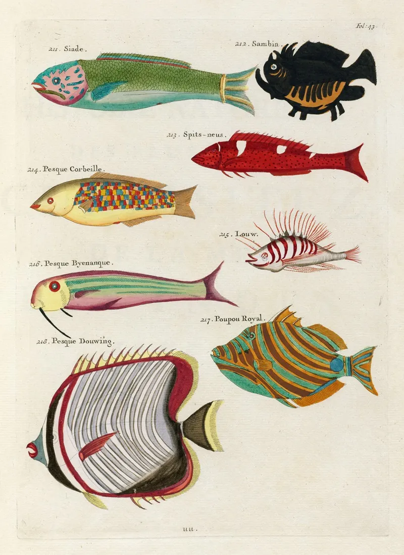 Poissons Ecrevisses Et Crabes De Diverses Couleurs Et Figures Extraordinaires Pl 043 Wall Art by Louis Renard - High-Resolution Digital Print