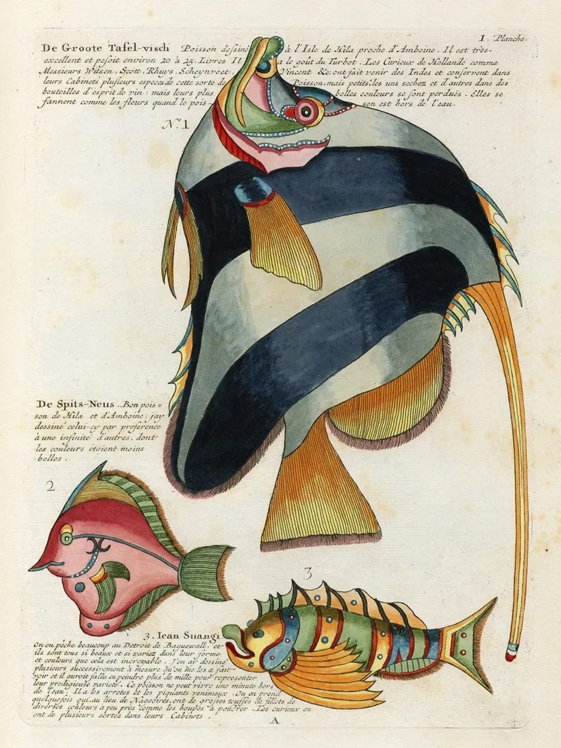Poissons Ecrevisses Et Crabes De Diverses Couleurs Et Figures Extraordinaires Pl 044 Wall Art by Louis Renard - High-Resolution Digital Print