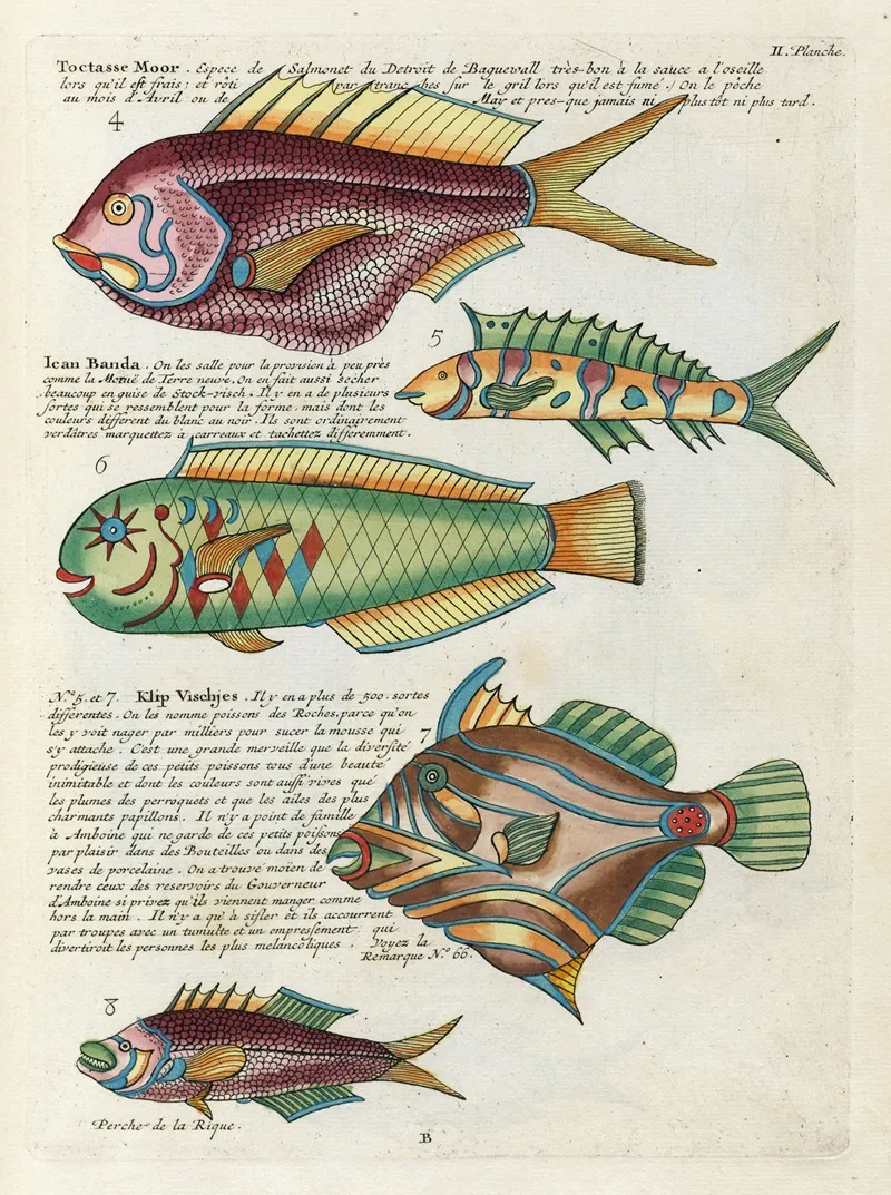 Poissons Ecrevisses Et Crabes De Diverses Couleurs Et Figures Extraordinaires Pl 045 Wall Art by Louis Renard - High-Resolution Digital Print