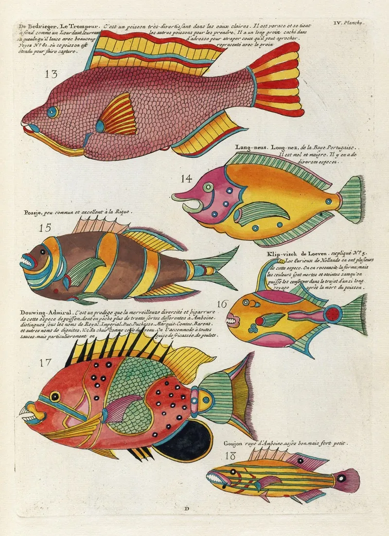 Poissons Ecrevisses Et Crabes De Diverses Couleurs Et Figures Extraordinaires Pl 047 Wall Art by Louis Renard - High-Resolution Digital Print