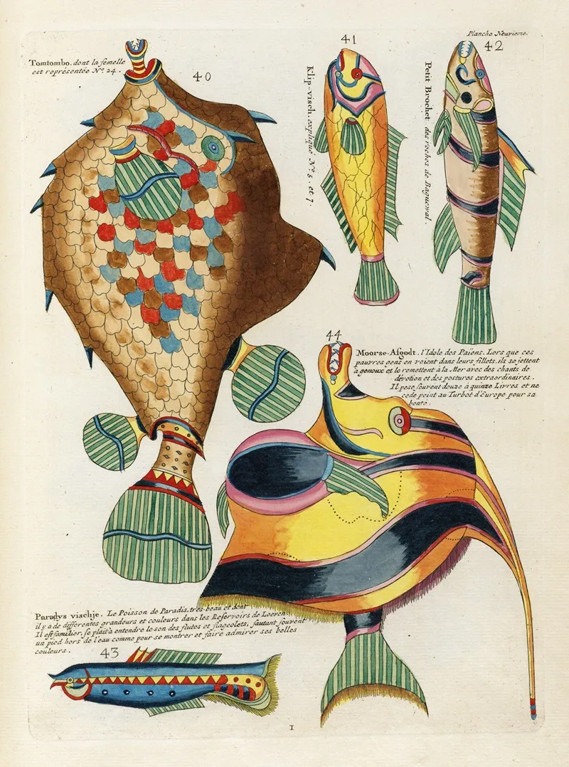 Poissons Ecrevisses Et Crabes De Diverses Couleurs Et Figures Extraordinaires Pl 052 Wall Art by Louis Renard - High-Resolution Digital Print