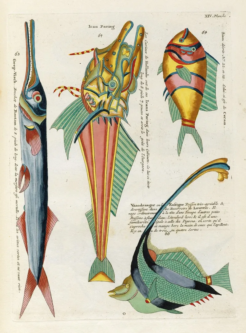 Poissons Ecrevisses Et Crabes De Diverses Couleurs Et Figures Extraordinaires Pl 057 Wall Art by Louis Renard - High-Resolution Digital Print