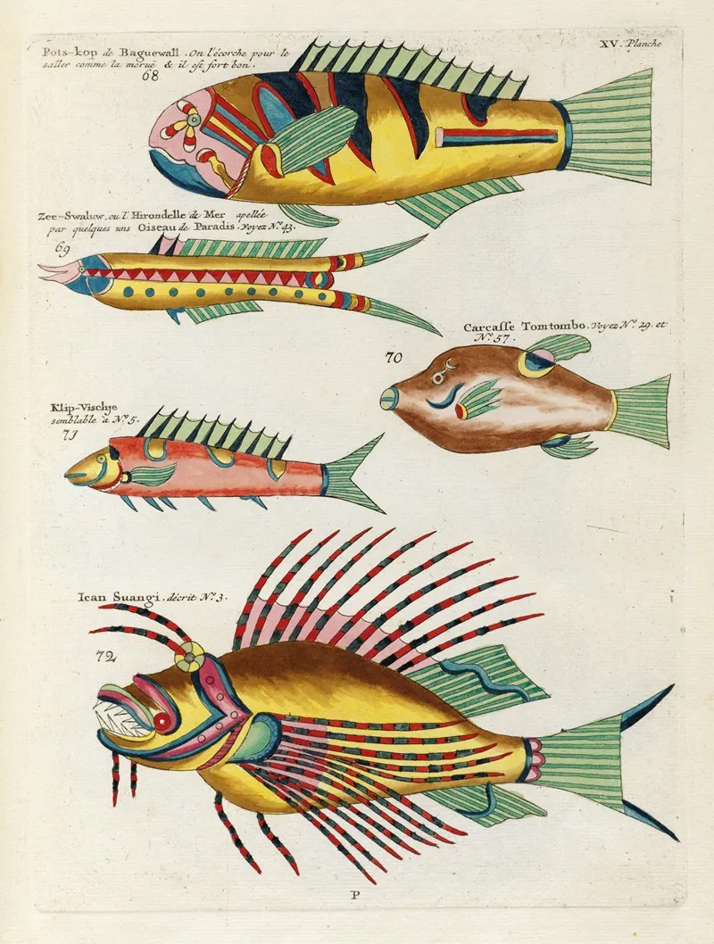Poissons Ecrevisses Et Crabes De Diverses Couleurs Et Figures Extraordinaires Pl 058 Wall Art by Louis Renard - High-Resolution Digital Print
