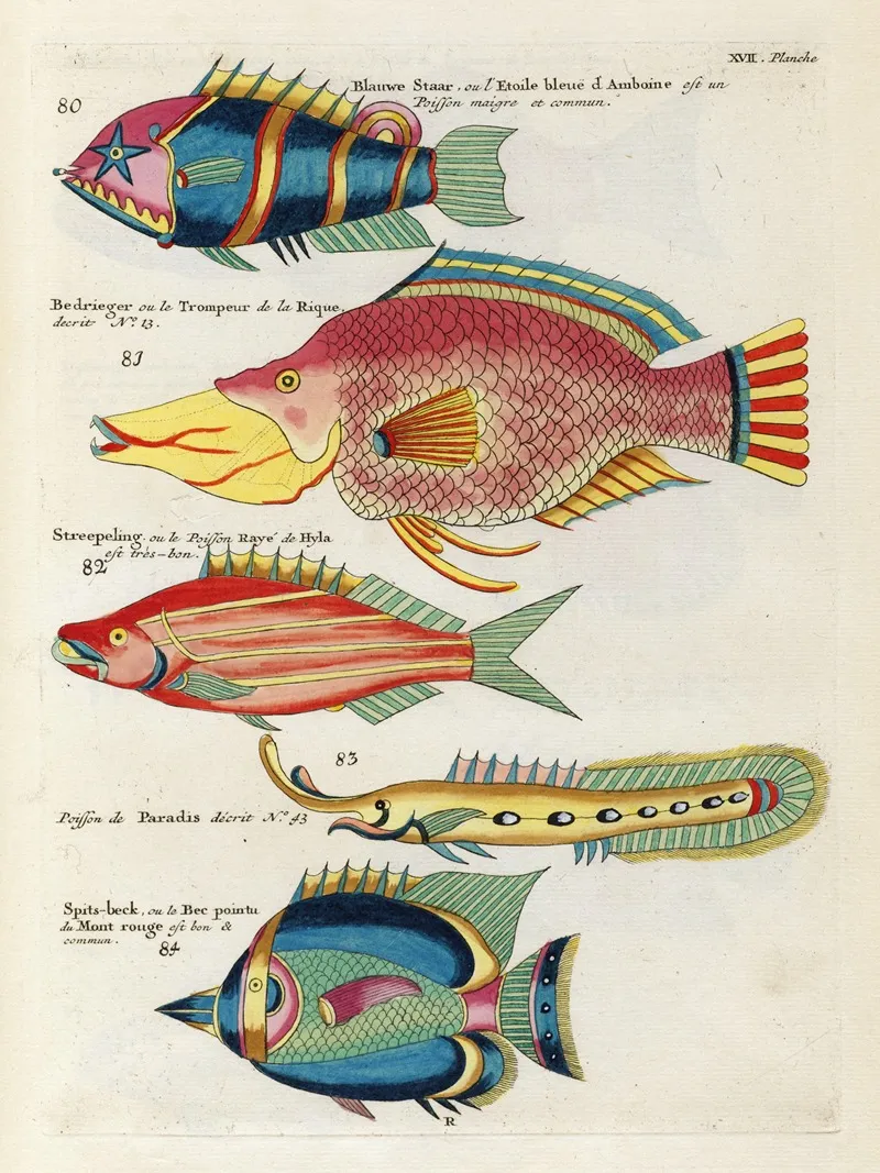 Poissons Ecrevisses Et Crabes De Diverses Couleurs Et Figures Extraordinaires Pl 060 Wall Art by Louis Renard - High-Resolution Digital Print