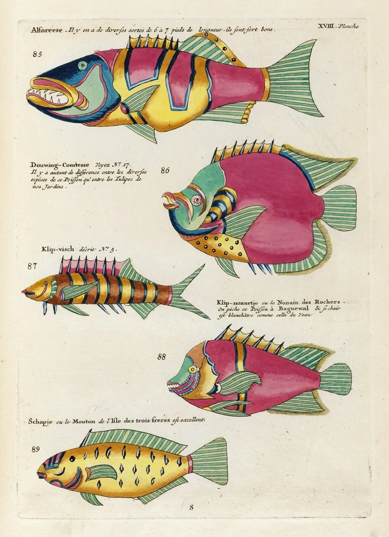 Poissons Ecrevisses Et Crabes De Diverses Couleurs Et Figures Extraordinaires Pl 061 Wall Art by Louis Renard - High-Resolution Digital Print