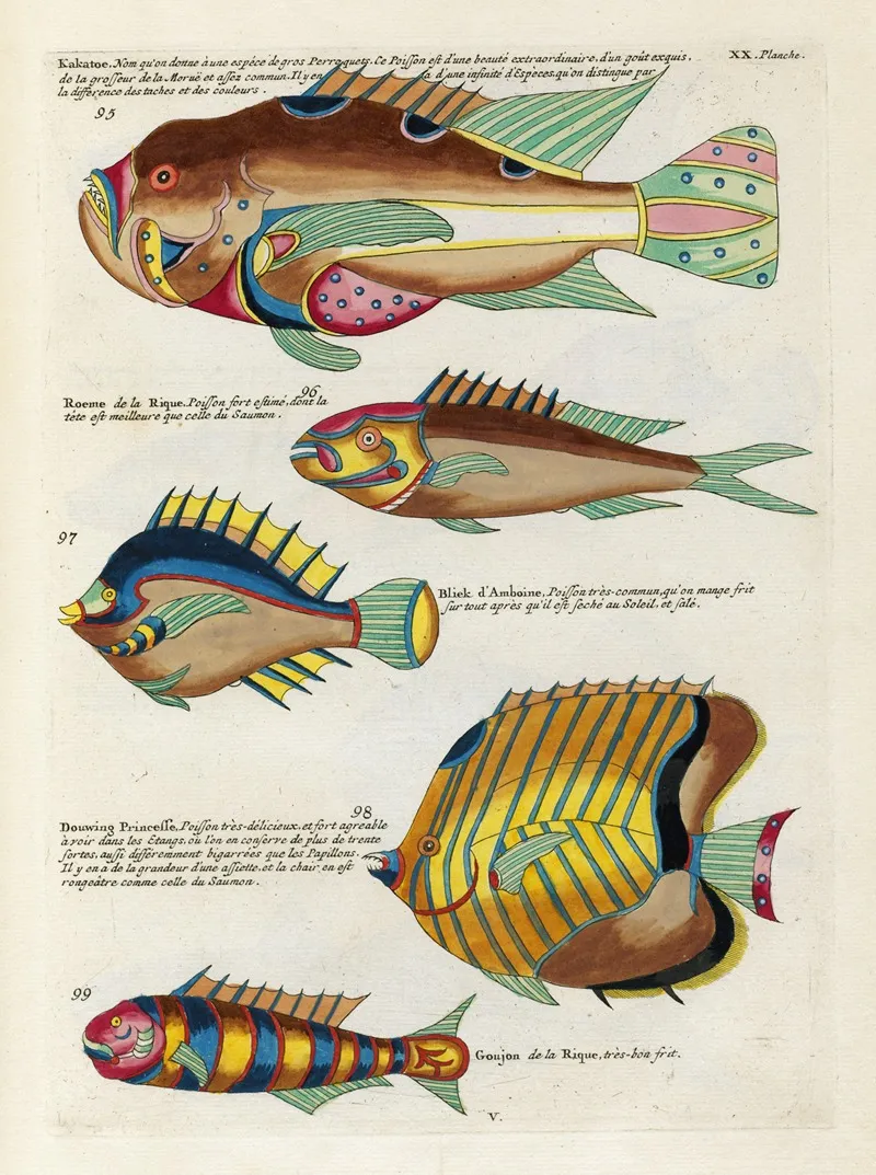 Poissons Ecrevisses Et Crabes De Diverses Couleurs Et Figures Extraordinaires Pl 063 Wall Art by Louis Renard - High-Resolution Digital Print