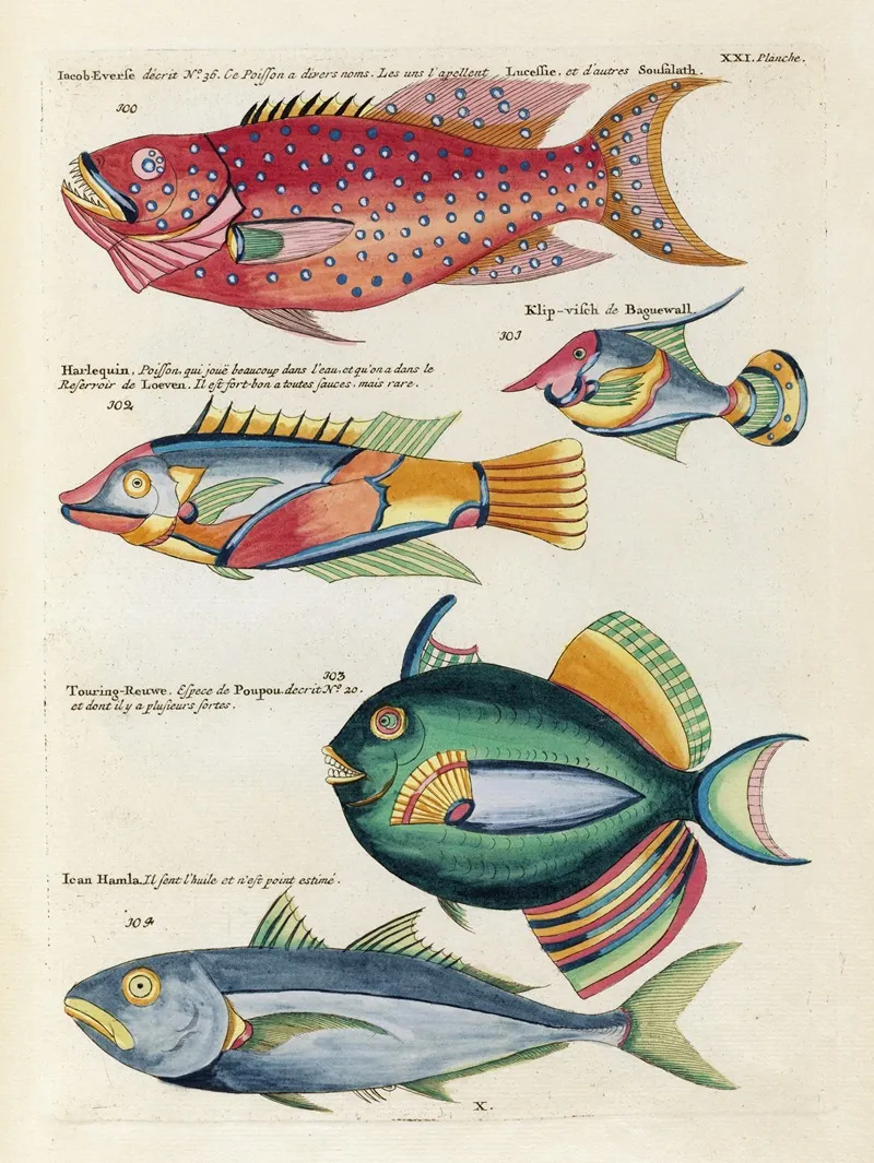 Poissons Ecrevisses Et Crabes De Diverses Couleurs Et Figures Extraordinaires Pl 064 Wall Art by Louis Renard - High-Resolution Digital Print