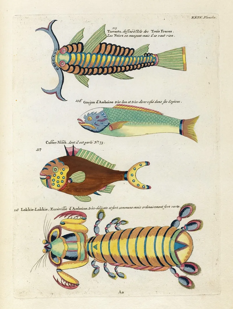 Poissons Ecrevisses Et Crabes De Diverses Couleurs Et Figures Extraordinaires Pl 067 Wall Art by Louis Renard - High-Resolution Digital Print