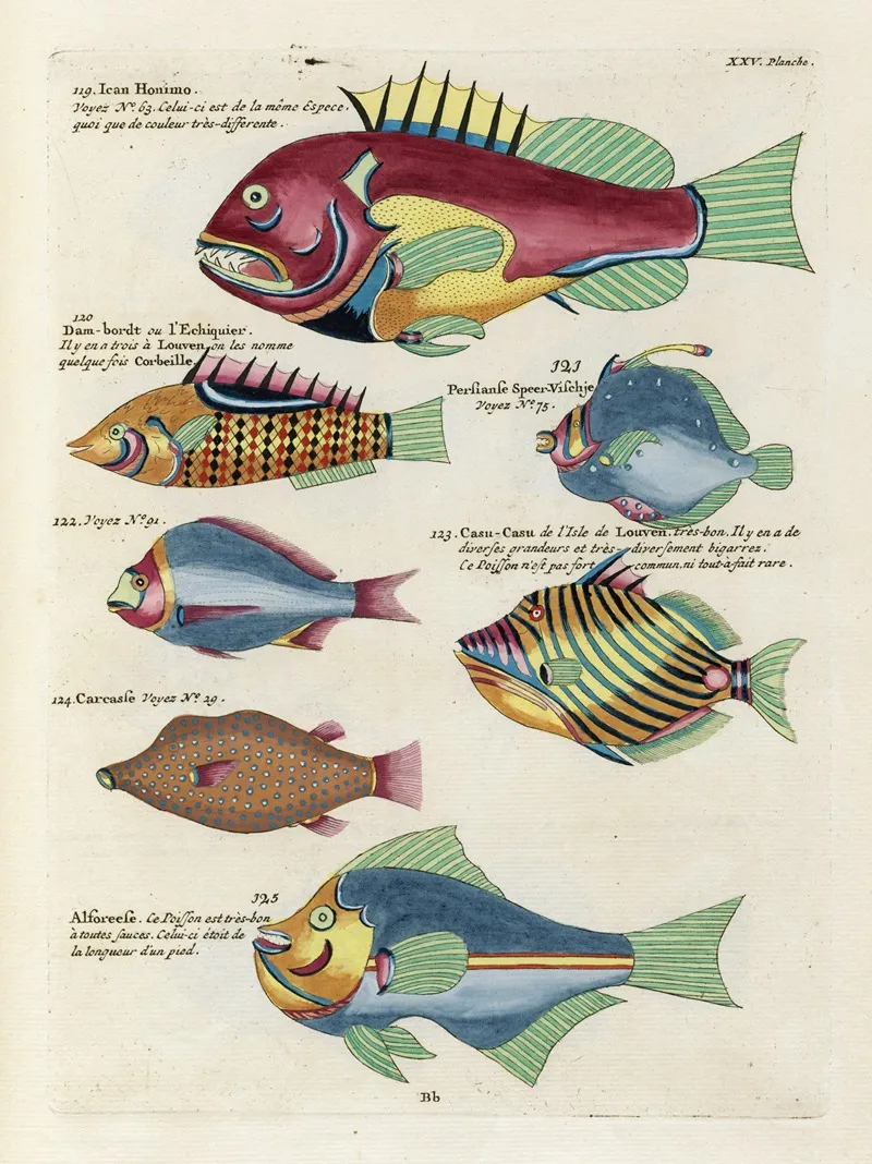 Poissons Ecrevisses Et Crabes De Diverses Couleurs Et Figures Extraordinaires Pl 068 Wall Art by Louis Renard - High-Resolution Digital Print