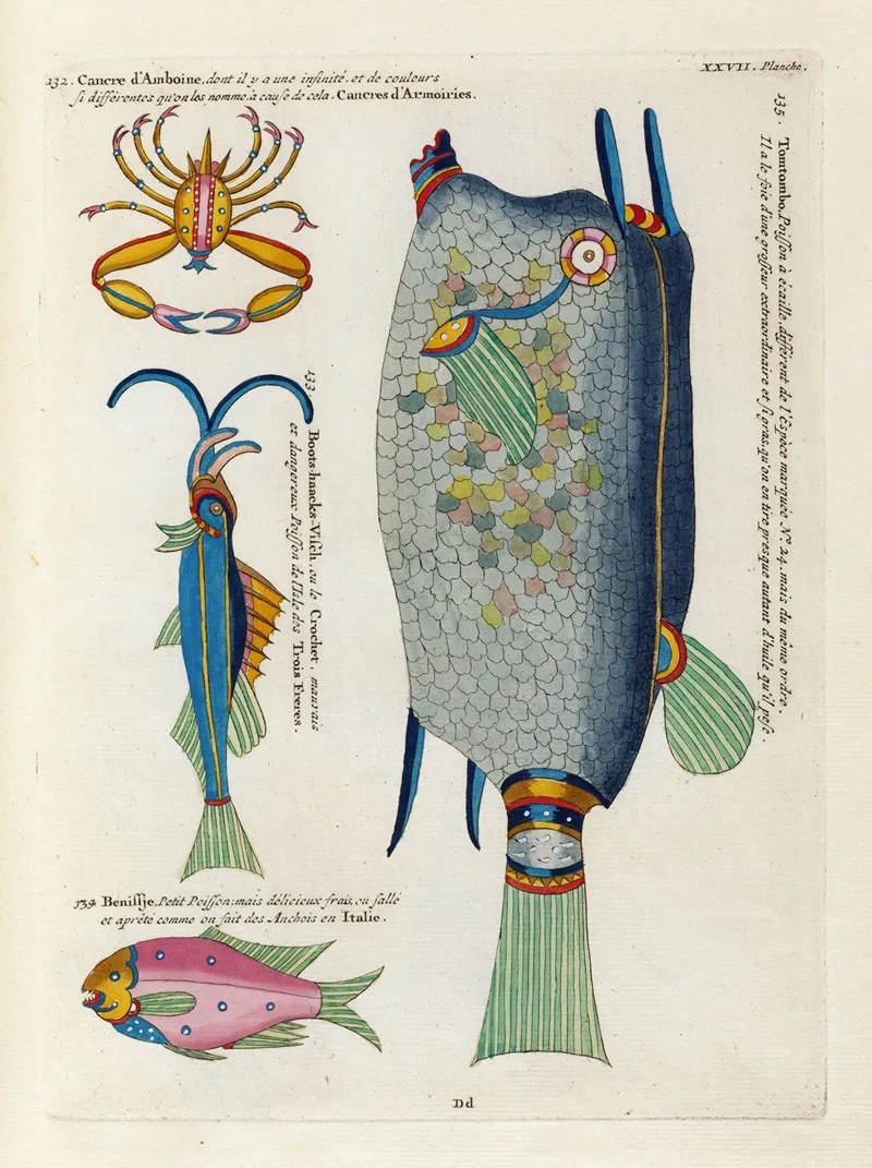 Poissons Ecrevisses Et Crabes De Diverses Couleurs Et Figures Extraordinaires Pl 070 Wall Art by Louis Renard - High-Resolution Digital Print