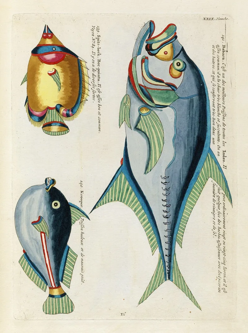 Poissons Ecrevisses Et Crabes De Diverses Couleurs Et Figures Extraordinaires Pl 072 Wall Art by Louis Renard - High-Resolution Digital Print