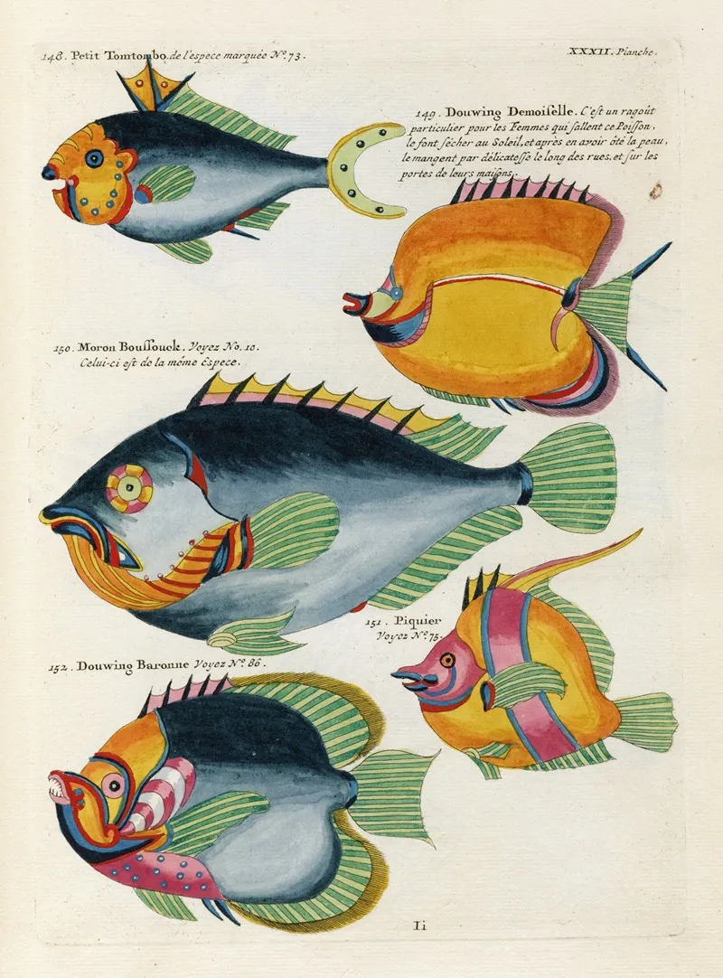 Poissons Ecrevisses Et Crabes De Diverses Couleurs Et Figures Extraordinaires Pl 075 Wall Art by Louis Renard - High-Resolution Digital Print