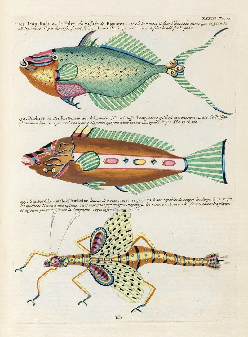 Poissons Ecrevisses Et Crabes De Diverses Couleurs Et Figures Extraordinaires Pl 076 Wall Art by Louis Renard - High-Resolution Digital Print