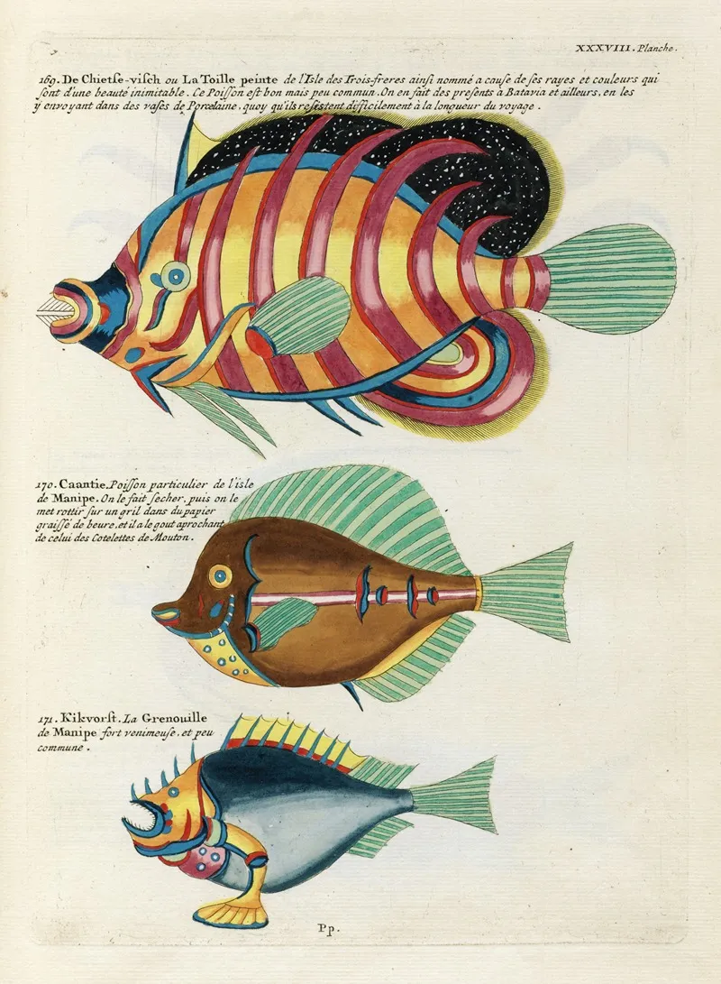 Poissons Ecrevisses Et Crabes De Diverses Couleurs Et Figures Extraordinaires Pl 081 Wall Art by Louis Renard - High-Resolution Digital Print