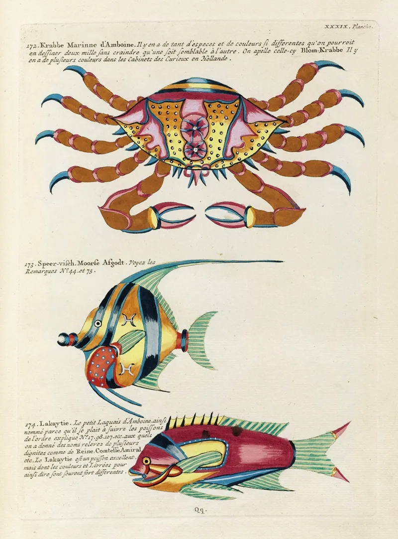 Poissons Ecrevisses Et Crabes De Diverses Couleurs Et Figures Extraordinaires Pl 082 Wall Art by Louis Renard - High-Resolution Digital Print