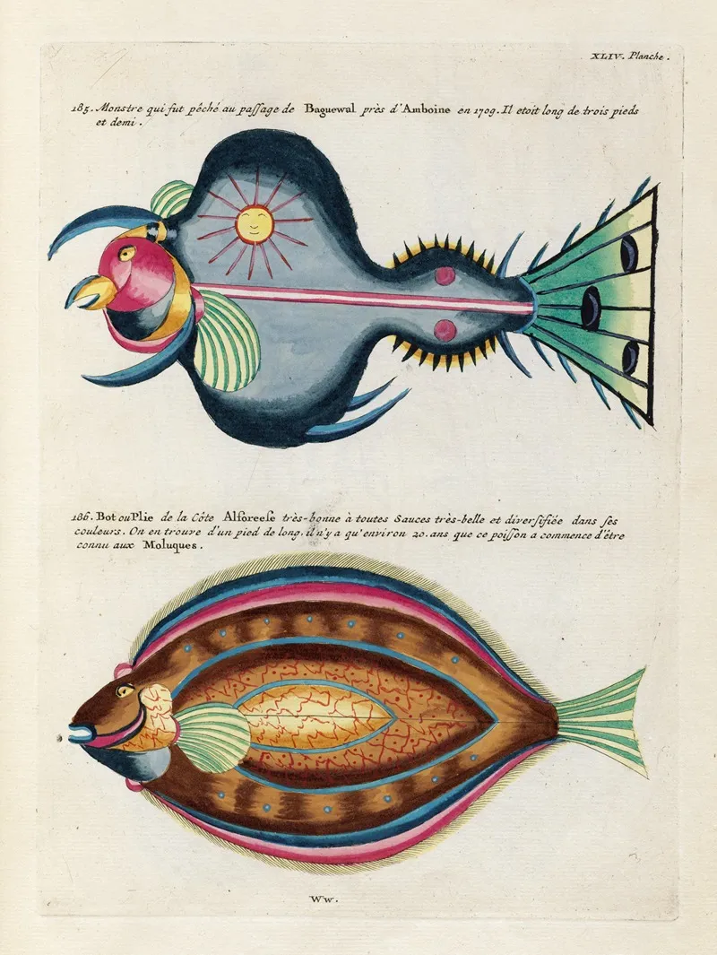 Poissons Ecrevisses Et Crabes De Diverses Couleurs Et Figures Extraordinaires Pl 087 Wall Art by Louis Renard - High-Resolution Digital Print