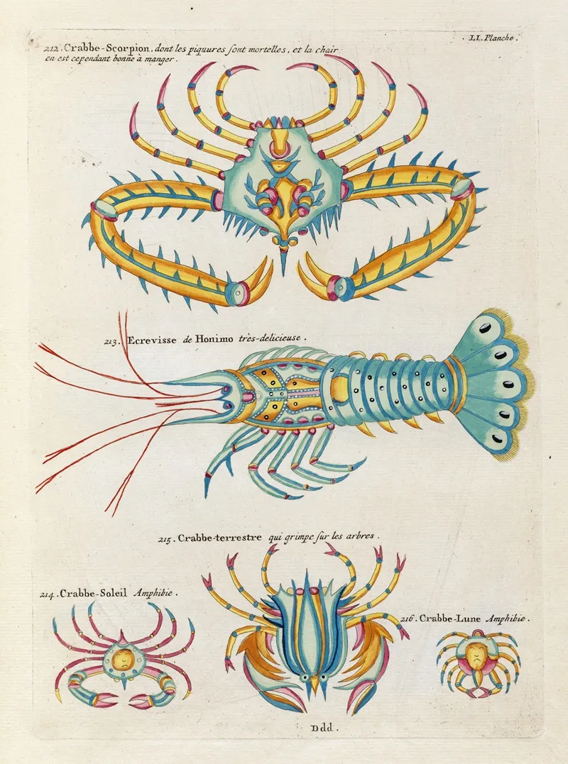 Poissons Ecrevisses Et Crabes De Diverses Couleurs Et Figures Extraordinaires Pl 094 Wall Art by Louis Renard - High-Resolution Digital Print