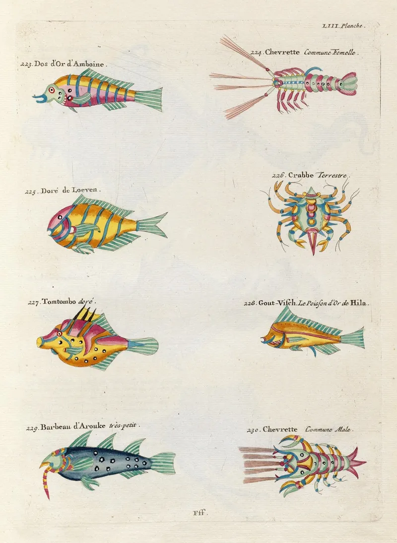 Poissons Ecrevisses Et Crabes De Diverses Couleurs Et Figures Extraordinaires Pl 096 Wall Art by Louis Renard - High-Resolution Digital Print