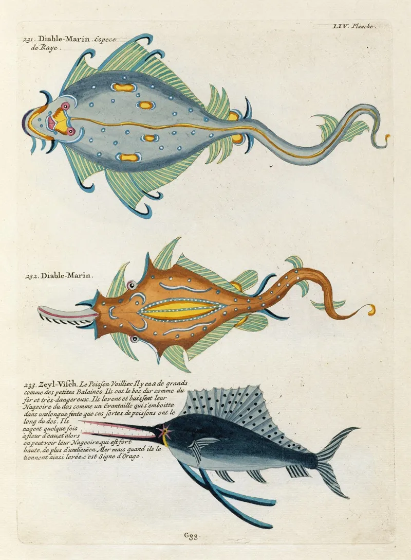 Poissons Ecrevisses Et Crabes De Diverses Couleurs Et Figures Extraordinaires Pl 097 Wall Art by Louis Renard - High-Resolution Digital Print