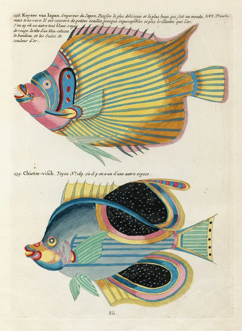 Poissons Ecrevisses Et Crabes De Diverses Couleurs Et Figures Extraordinaires Pl 099 Wall Art by Louis Renard - High-Resolution Digital Print