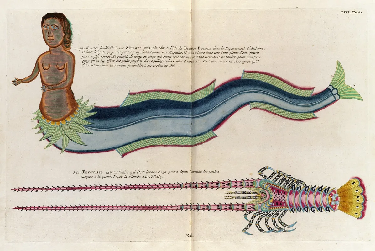 Poissons Ecrevisses Et Crabes De Diverses Couleurs Et Figures Extraordinaires Pl 100 Wall Art by Louis Renard - High-Resolution Digital Print