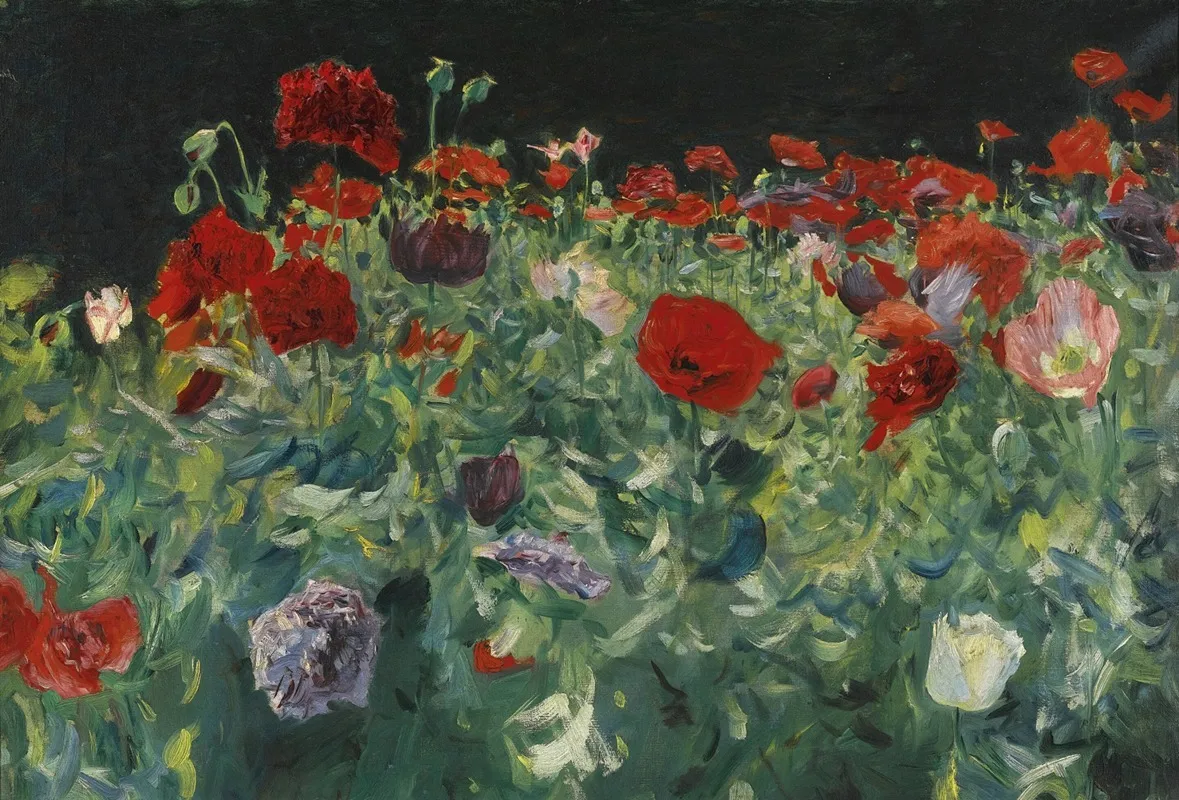Poppies A Study Of Poppies For Carnation Lily Lily Rose Wall Art by John Singer Sargent - High-Resolution Digital Print