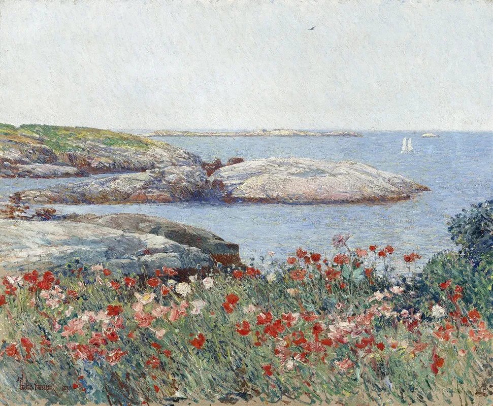 Poppiesisles Of Shoals