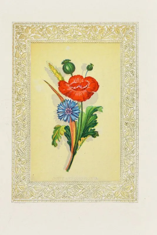 Poppy And Cornflower Wall Art by John Henry Ingram - High-Resolution Digital Print