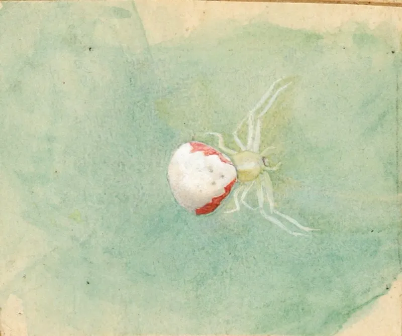 Porcelain White Spider Wall Art by Emma Beach Thayer - High-Resolution Digital Print