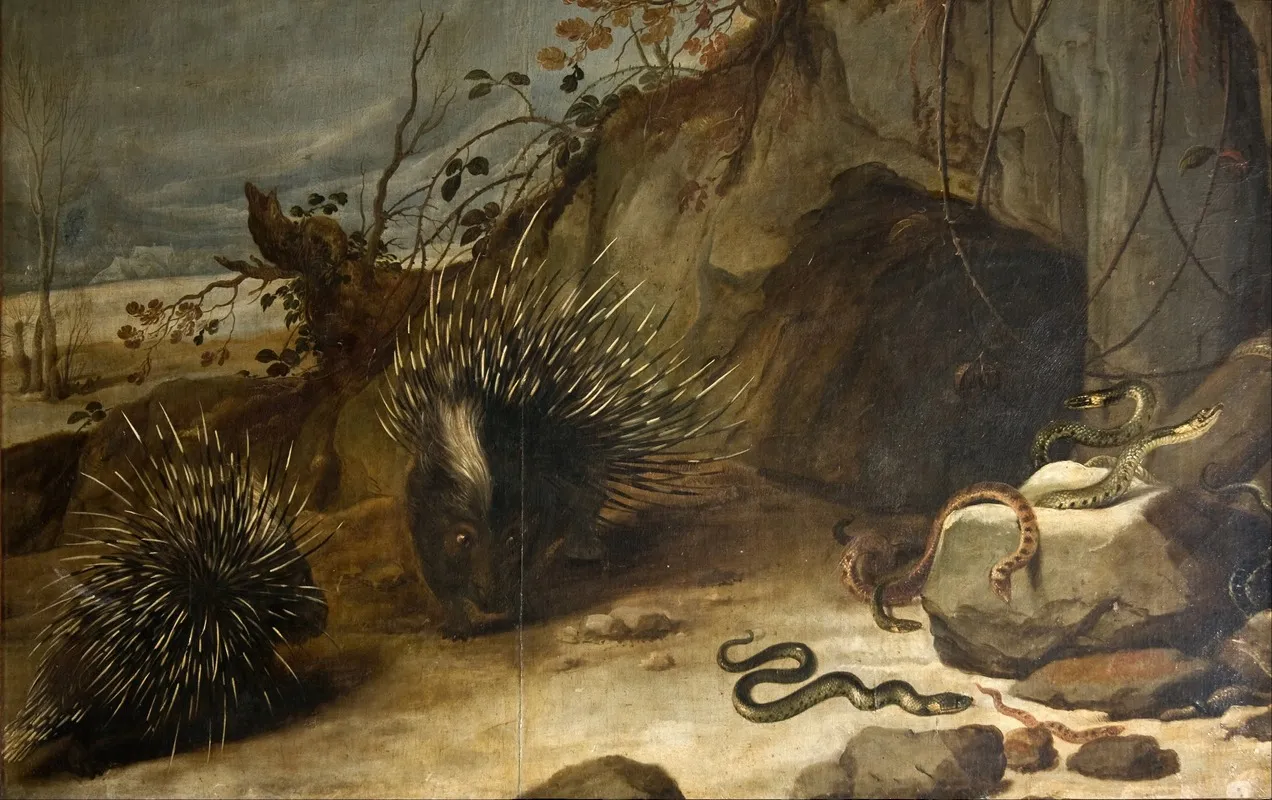 Porcupines And Vipers