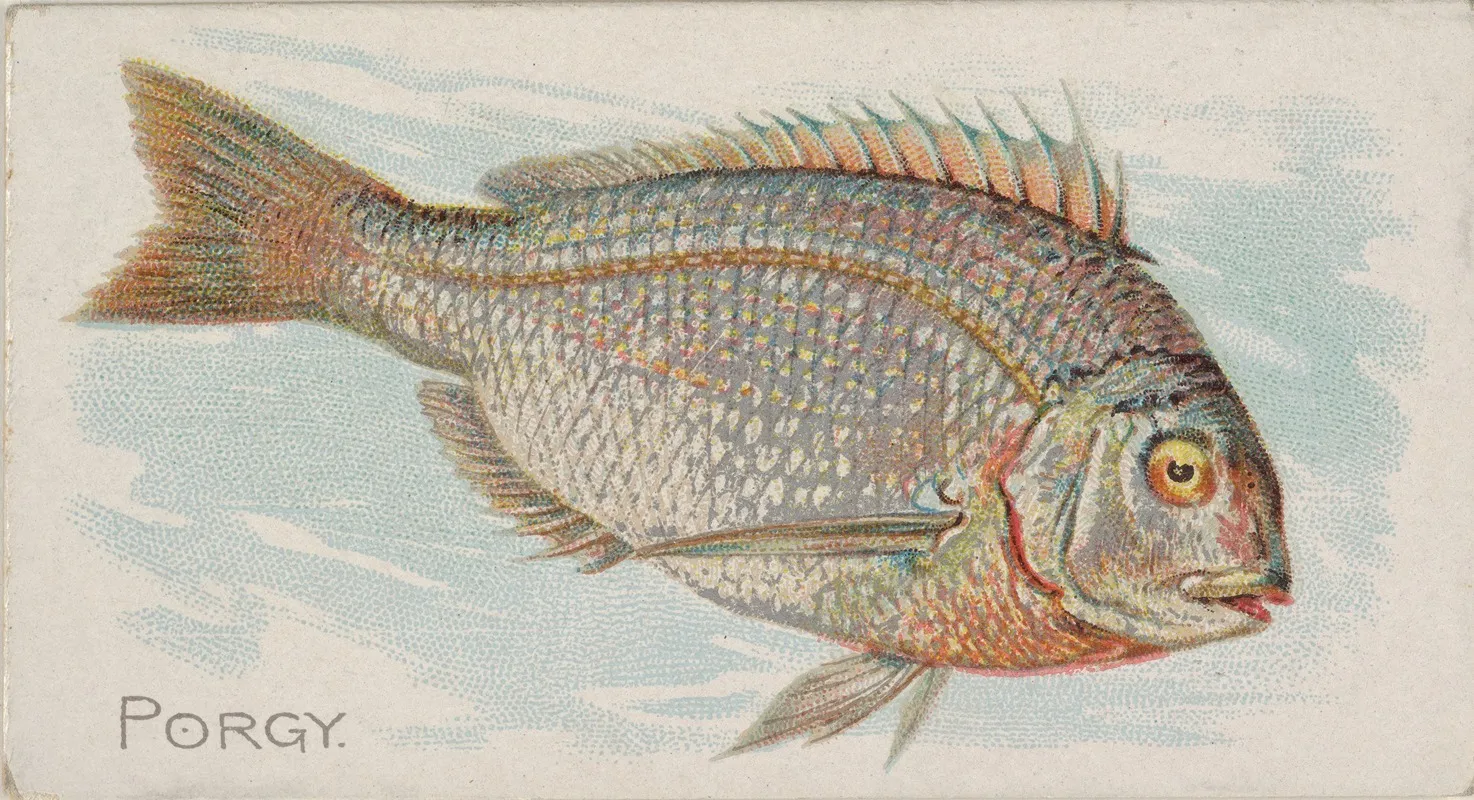 Porgy Wall Art by Allen & Ginter - High-Resolution Digital Print