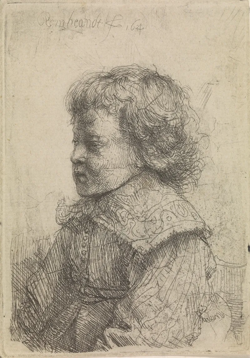 Portrait Of A Boy In Profile 2 Wall Art by Rembrandt van Rijn - High-Resolution Digital Print