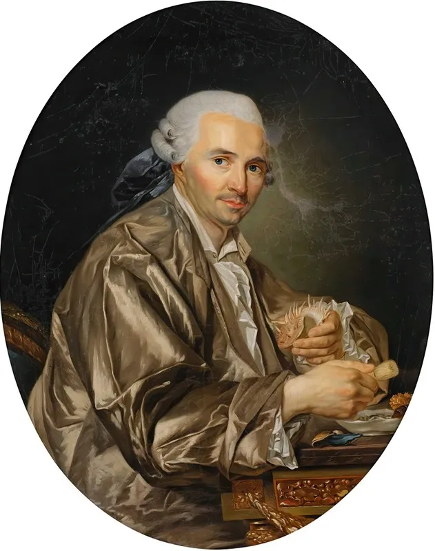 Portrait Of A Gentleman Shell Collector